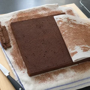 Baked chocolate sponge turned onto a cocoa-dusted towel