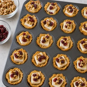 Phyllo cups filled with brie cubes, dried cranberries, and toasted walnuts.