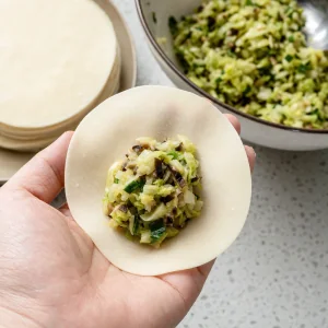 Vegetable dumpling filling spooned into the center of a round wrapper