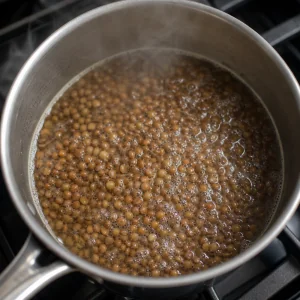 Lentilles brunes qui frémissent dans l’eau dans une casserole