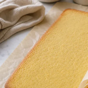 Thin baked cookie sheet with lightly golden edges