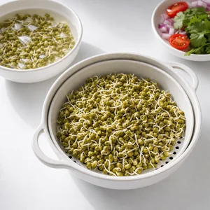 Sprouted mung beans rinsed after light steaming